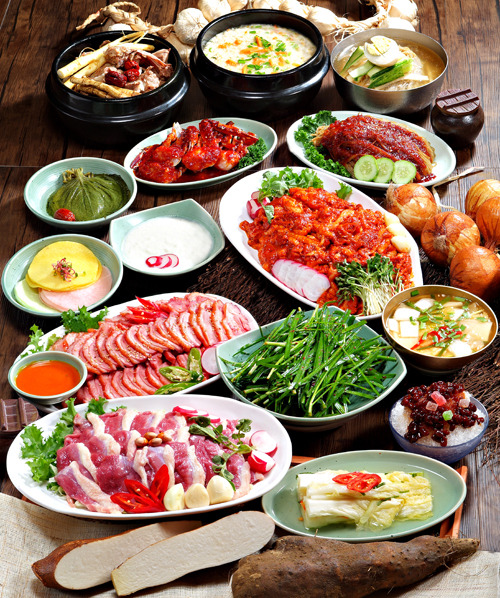 신토오리 이미지