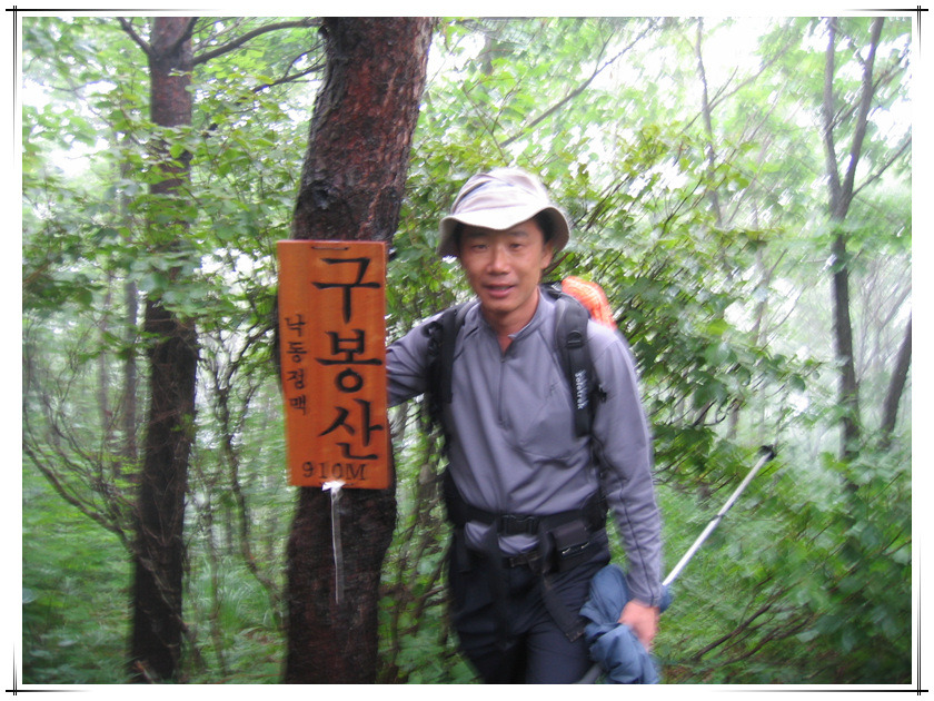 피제 이미지