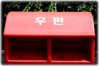 푸른곰팡이 이미지