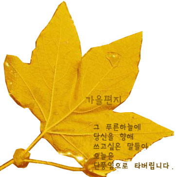 하우스깔끄미 이미지