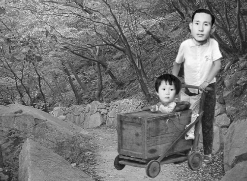 대일파라솔 이미지