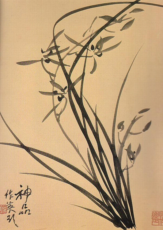 운미가 이미지