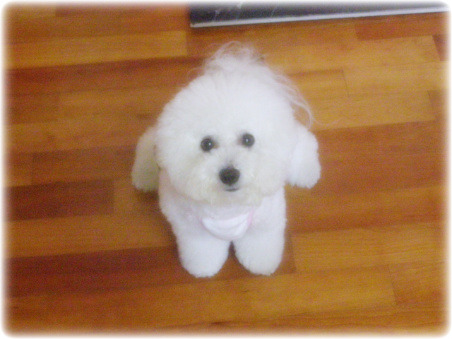 몽실이 이미지