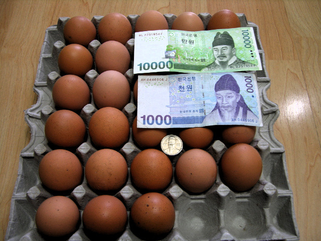 에그머니 이미지