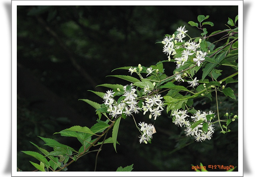 �̹����� Ŭ���ϸ� ������ ���� �� �ֽ��ϴ�.