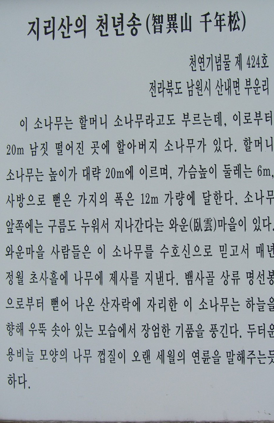 지리산의하루 이미지