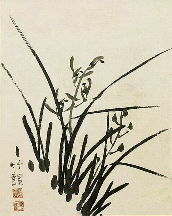 운미가 이미지