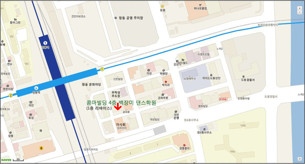 백장미댄스 이미지